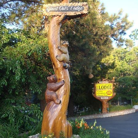 Giant Oaks Lodge Running Springs Esterno foto